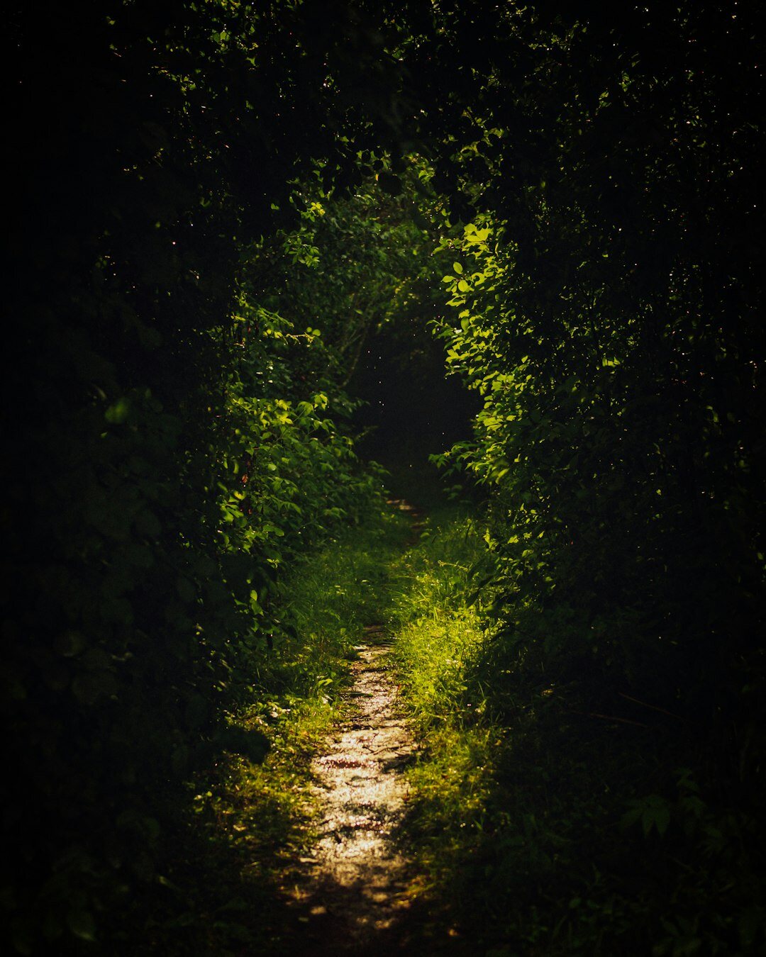 mysterious book cover